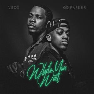 Can’t Believe - VEDO & OG Parker