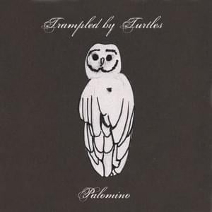 Again - Trampled by Turtles