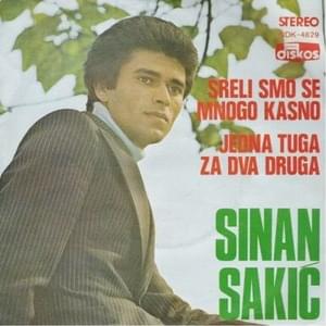 Sreli smo se mnogo kasno - Sinan Sakić