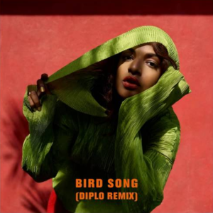 Bird Song (Diplo Remix) - M.I.A.