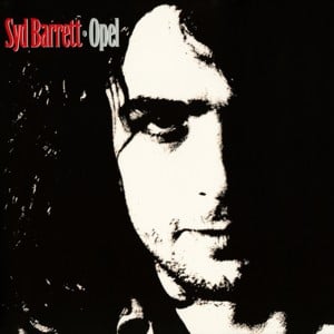 Wouldn’t You Miss Me (Dark Globe) - Syd Barrett