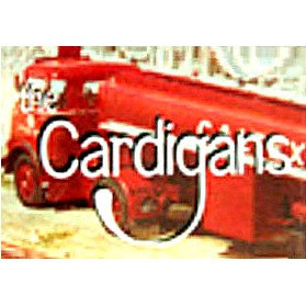 Fine (Demo) - The Cardigans