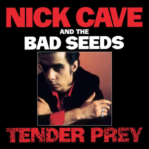 Up Jumped the Devil - Nick Cave & The Bad Seeds