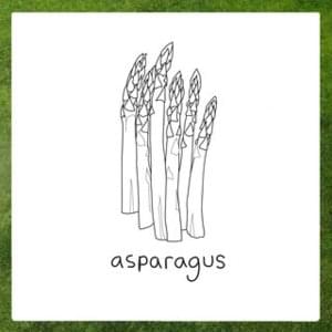 Asparagus - Mouse Sucks and The Dream Band