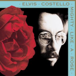 Playboy To A Man - Elvis Costello