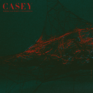 Needlework - Casey