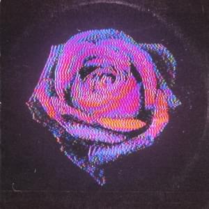 Rose - Inner Wave