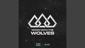 Down With The Wolves - The Score & 2WEI