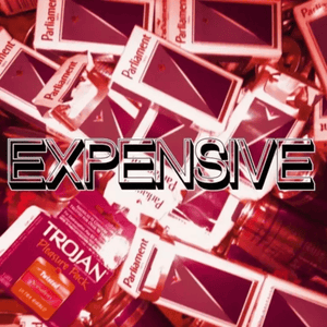 Expensive - Ayesha Erotica