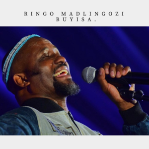 South Africa - Ringo Madlingozi