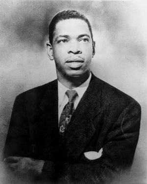 The Twelve Year Old Boy - Elmore James