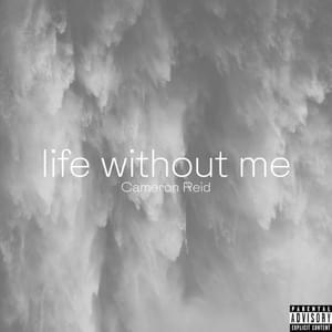 ​life without me - Cameron Reid