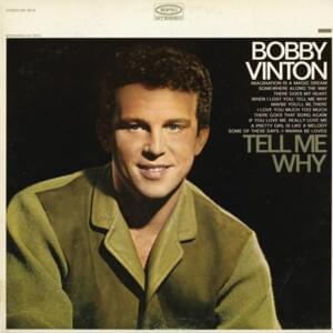 I Love You Much Too Much - Bobby Vinton