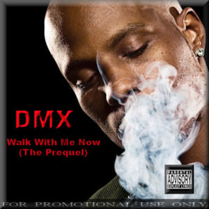 The Way It’s Gonna Be - DMX