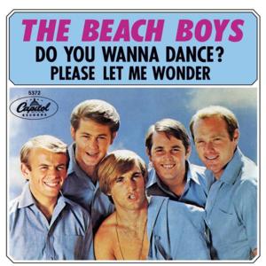 Please Let Me Wonder - The Beach Boys