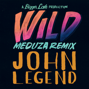 Wild (MEDUZA Remix) - John Legend