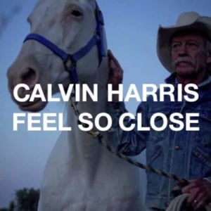 Feel So Close (Nero Dub) - Calvin Harris