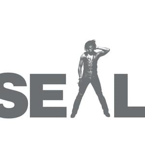 Crazy (Acoustic/Instrumental Version) - Seal