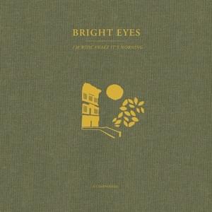 We Are Nowhere and It’s Now (Companion Version) - Bright Eyes