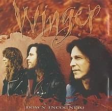 Down Incognito - Winger