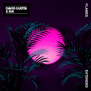 Flames (Extended) - David Guetta & Sia
