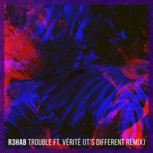 Trouble (It’s Different Remix) - R3HAB (Ft. VÉRITÉ)