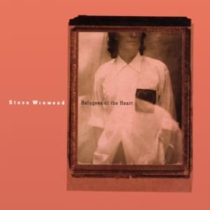 In the Light of the Day - Steve Winwood