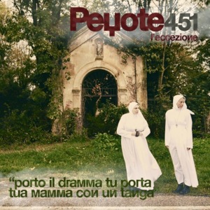 Peyote 451 (L’eccezione) - Willie Peyote