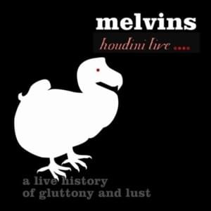 Set Me Straight / Deserted Cities of the Heart (Live) - Melvins