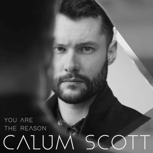 You Are The Reason - Calum Scott