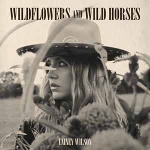 Wildflowers and Wild Horses - Lainey Wilson