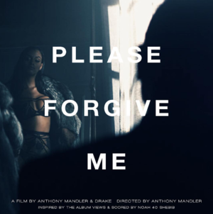 Please Forgive Me - Drake