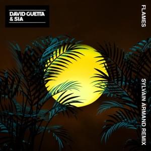 Flames (Sylvain Armand Remix) - David Guetta & Sia