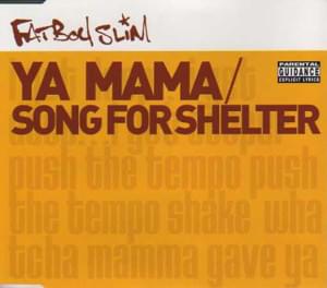 Song for Shelter - Fatboy Slim (Ft. Roger Sanchez)