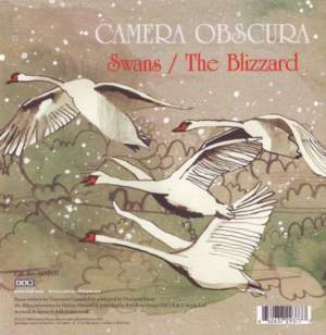 Swans - Camera Obscura