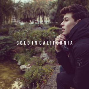 Cold In California - Shawn Mendes