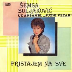 Pristajem na sve - Šemsa Suljaković