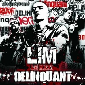 Délinquant (Le Maxi) - LIM