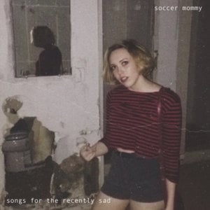 ​hudson river / swollen bloody knuckles - Soccer Mommy