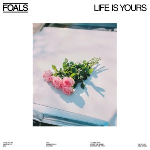 Wild Green - Foals