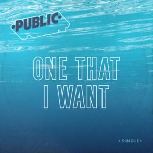 One That I Want - PUBLIC