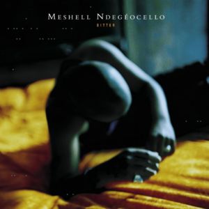 Faithful - Meshell Ndegéocello