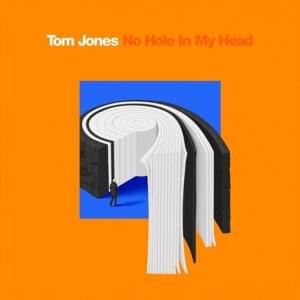 No Hole in My Head - Tom Jones