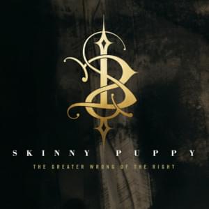 ​dOwnsizer - Skinny Puppy