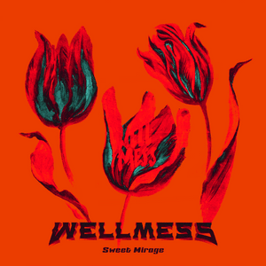 Sweet Mirage - Wellmess (Ft. Red Revision)