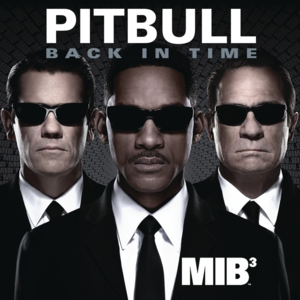 Back in Time (Play-N-Skillz Remix) - Pitbull