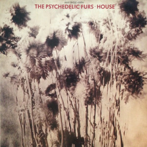 House - The Psychedelic Furs