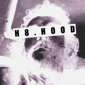 25032104 - H8.HOOD