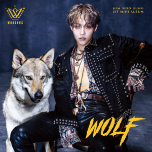 WOOSUNG - FACE (English Translation) - Lyrxo English Translations