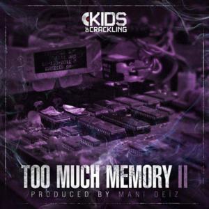 Too Much Memory II (Freestyle 2) - Mani Deïz (Ft. Inspire, Keroué, Lasco, Lesram, Limsa d'Aulnay, Say, Sheldon, Sopico & Waltmann)